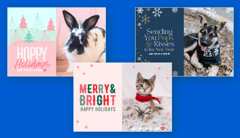 Several eCards from One Tail at a Time that feature animals photographed with holiday-themed backgrounds.