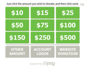 A number of different options for email donation buttons in a nonprofit email newsletter.