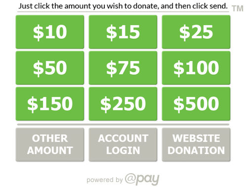 A number of different options for email donation buttons in a nonprofit email newsletter.