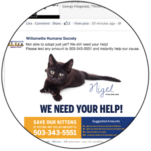 Facebook post that says, "We need your help" and has a picture of a cat