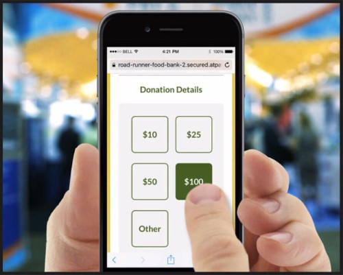 You can use pre-set donation amounts with PayPal alternatives for nonprofits. 