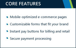 Learn more about the awesome features that make this PayPal alternative great for businesses.