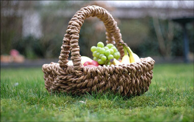 Middle school fundraising ideas like the school picnic are fun for the whole family.