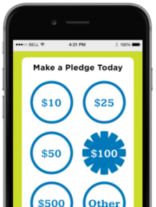 Snowball's platform makes it fast and easy for supporters to complete mobile fundraising pledges.