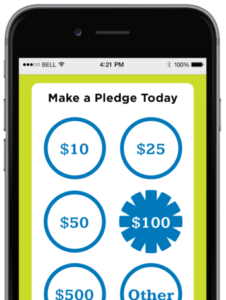 Snowball's mobile pledge platform is an ideal tool for your next pledge campaign.