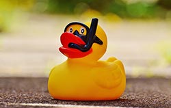 Chuck a duck is a great church fundraising idea for large congregations.