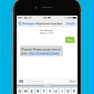 With text-to-give service, supporters send a text to your organization's designated number and confirm their donation by sending an automated email.