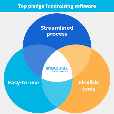 Our recommended pledge fundraising software is Snowball.
