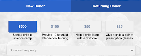 This is how donors will see your donation descriptions for optimized donation letters.