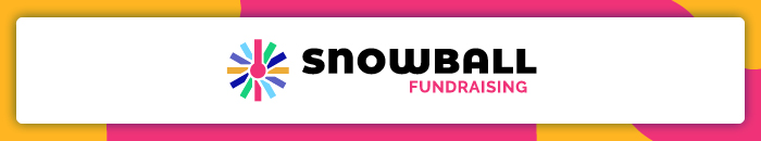 Snowball auction software