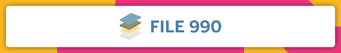 File 990 nonprofit software