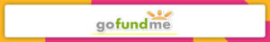Gofundme online giving tool