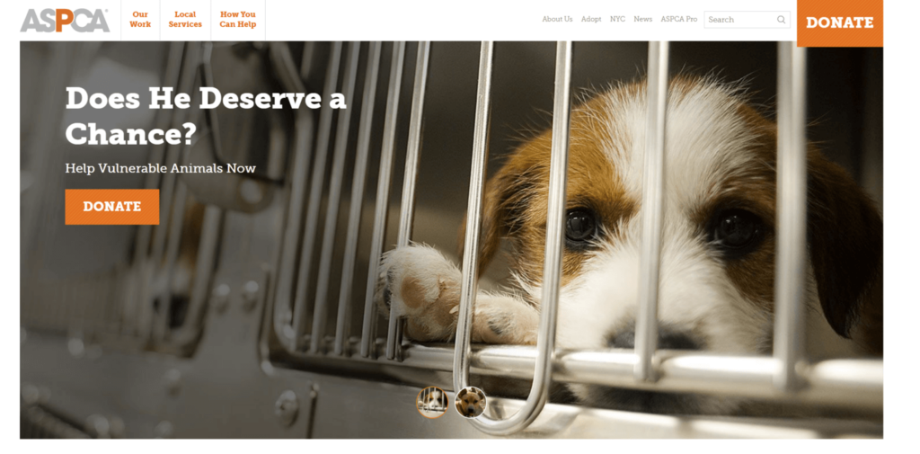 The ASPCA’s website pulls on your heartstrings.